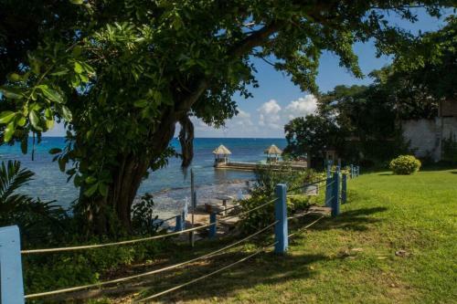 Apartamento Carib Ocho Rios Fedlyn
