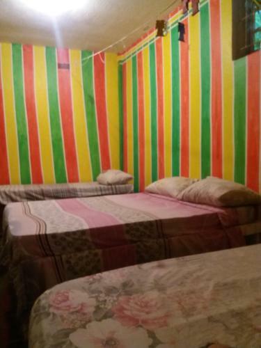 Albergue Jungle In Town