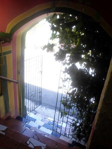 Albergue Jungle In Town