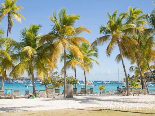 Apartamento Caribbean Beachfront Condo, St Thomas Usvi Cowpet Beach West