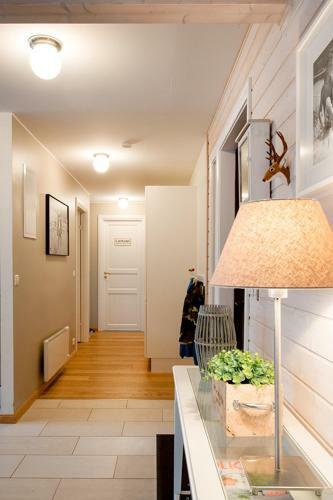 Lodge Odinsve Country Home