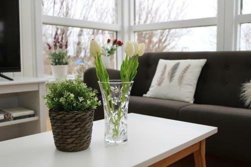 Apartamento Lava Water - Mi�hraun