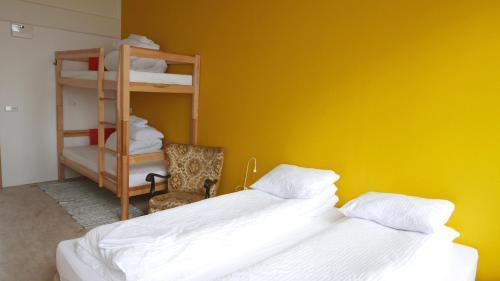 Albergue Snotra House