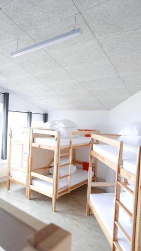 Albergue Snotra House