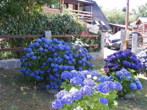 Apartamento Caba�as Las Hortensias