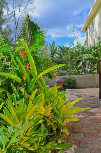 Apartamento Fila�s Bungalows