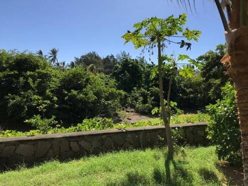 Bed & Breakfast Auberge St Francois