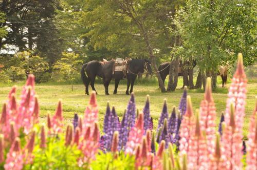 Mallin Colorado Ecolodge