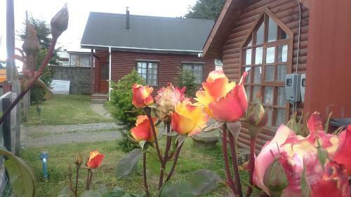 Caba�as Chiloe Travel