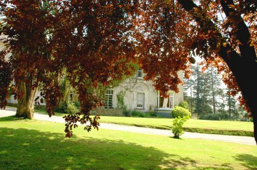 Hotel Ballyrafter Country House