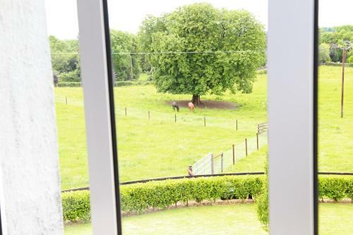 Agroturismo Glebe House