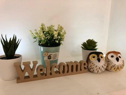 Owl Hostel