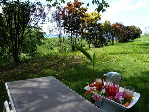 Villa Nature & Villa Alizes