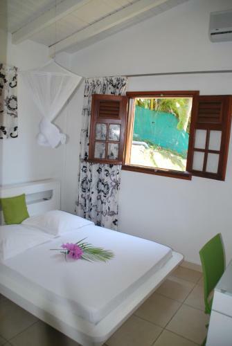 Villa Nature & Villa Alizes