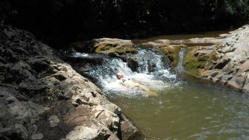 Hostal Pousada Pinhal Alto
