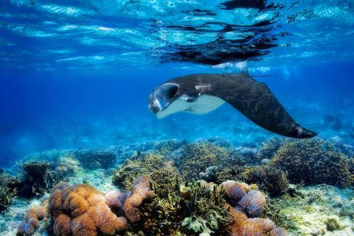 Hotel Barefoot Manta