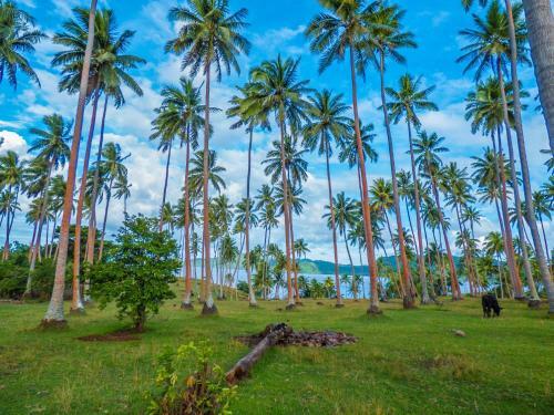 Hotel Matangi Private Island Resort - Adults Only