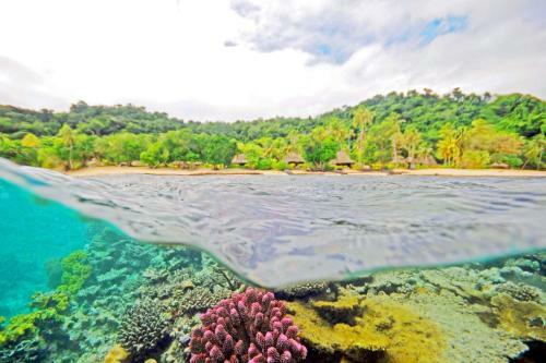 Hotel Qamea Resort & Spa