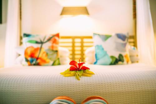 Hotel Qamea Resort & Spa