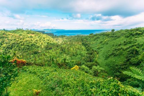 Hotel Qamea Resort & Spa