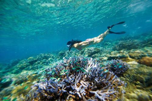 Hotel Mantaray Island Resort