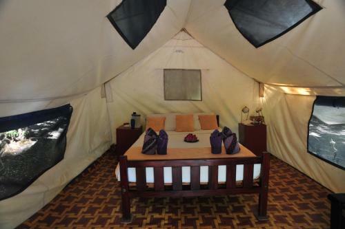 Hostal Dolphin Bay Divers Retreat