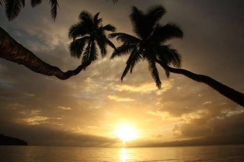 Hostal Dolphin Bay Divers Retreat