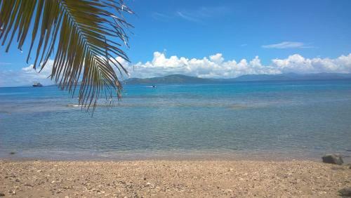 Hostal Dolphin Bay Divers Retreat