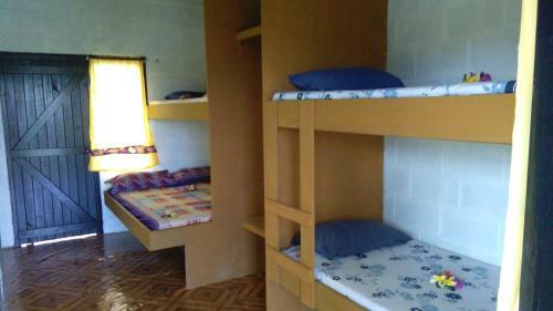 Hostal The Beehive Fiji