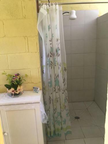 Hostal The Beehive Fiji
