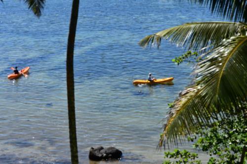 Island Breeze Fiji