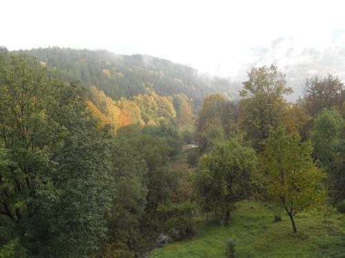 Hostal Guest House Pandukov