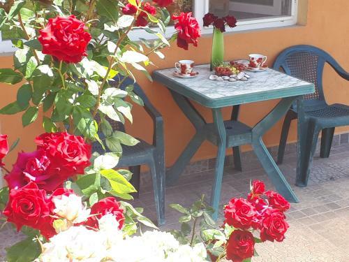 Hostal Dom Zaharievi