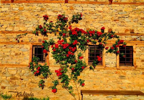 Kalinia Guesthouse B&B