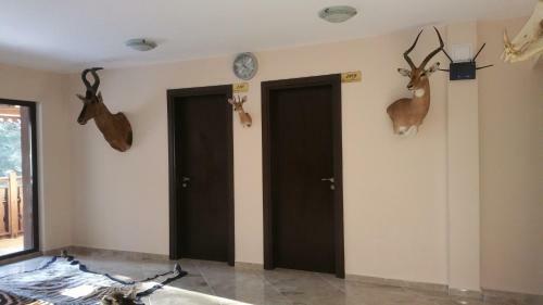 Hunting Residence Lodge