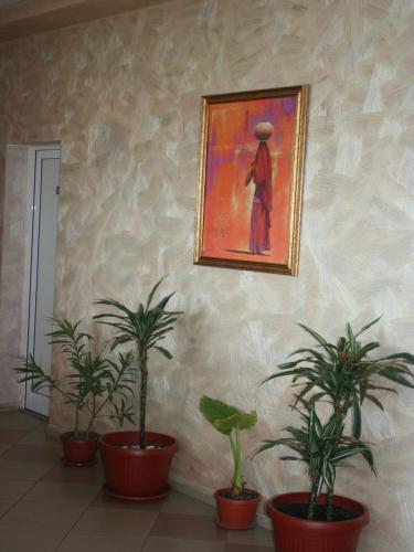 Hotel Amigos