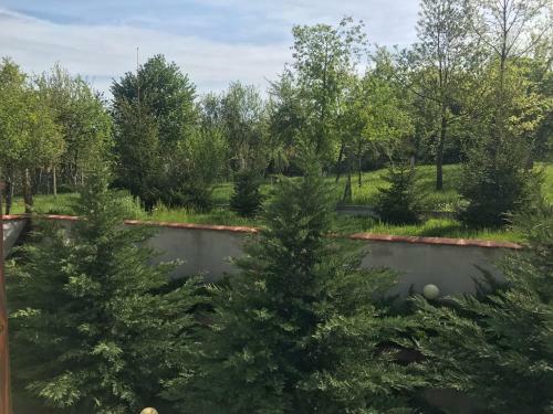 Hostal Mutafova House