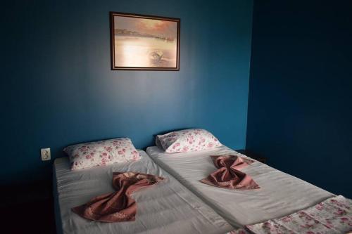 Hostal Draganov House