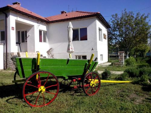 Hostal Draganov House