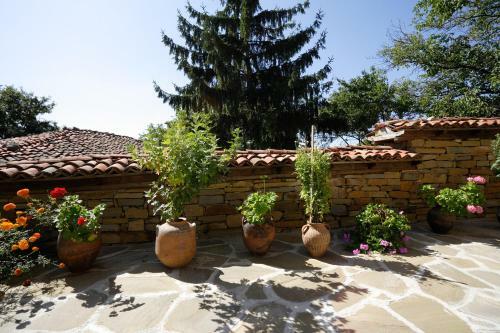 Hostal Yovina House Zheravna