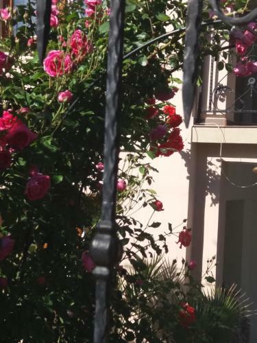 Apartamento Rooms Veska