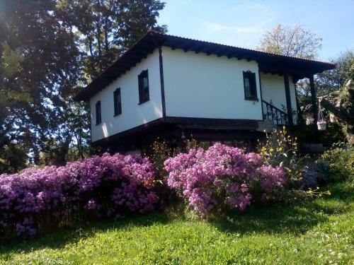 Hostal Complex Roden Kray
