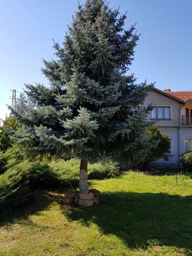 Hostal Guest House Sadovo