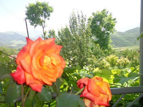 Anush`s B&B
