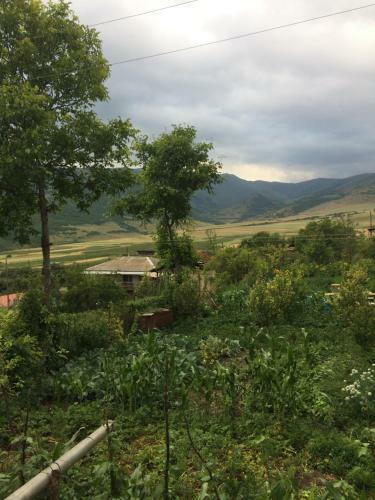 Anush`s B&B