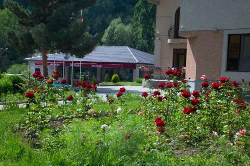 Hotel Jermuk Verona Resort