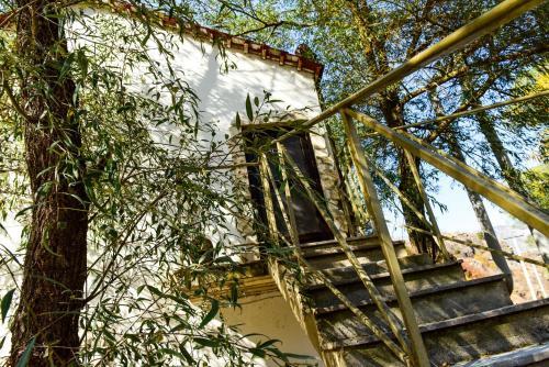 Bed & Breakfast Belveder Eco Resort
