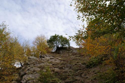 Takht House