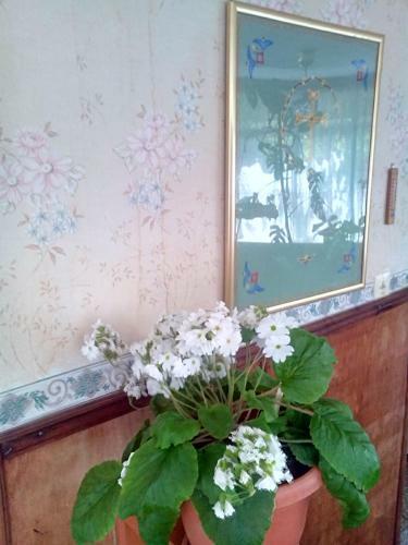 Bed & Breakfast Artsiv Guesthouse