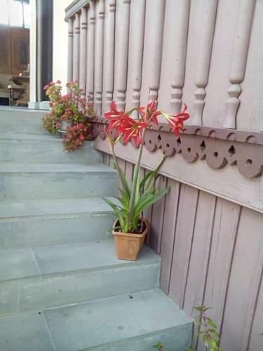 Bed & Breakfast Artsiv Guesthouse